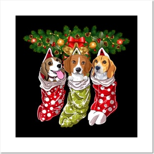 Beagles Socks Christmas Gifts Dogs Lovers Posters and Art